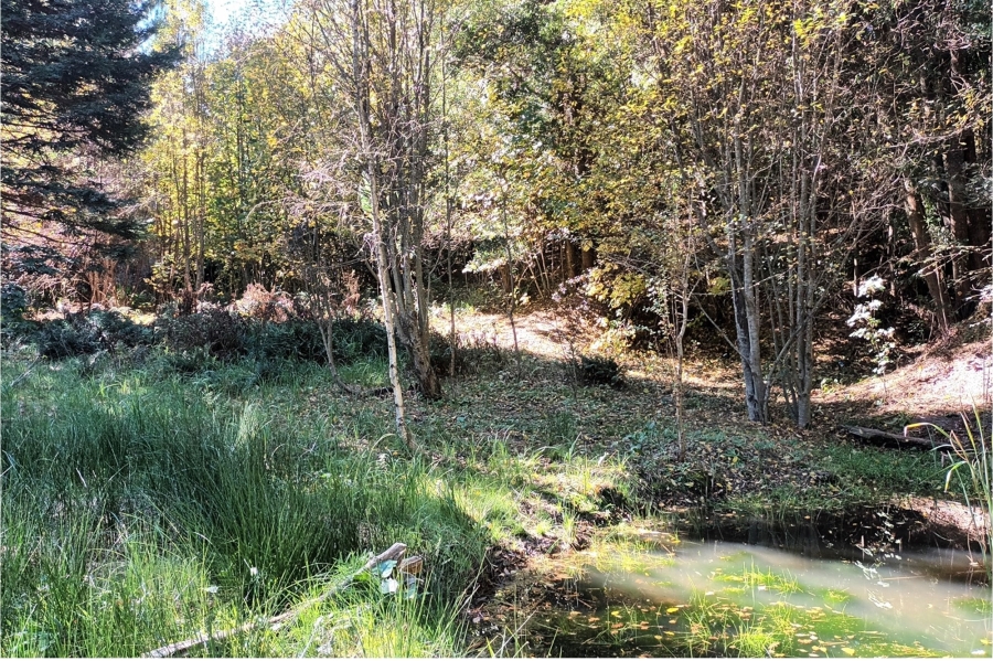 3 Bedroom Property for Sale in Hogsback Eastern Cape